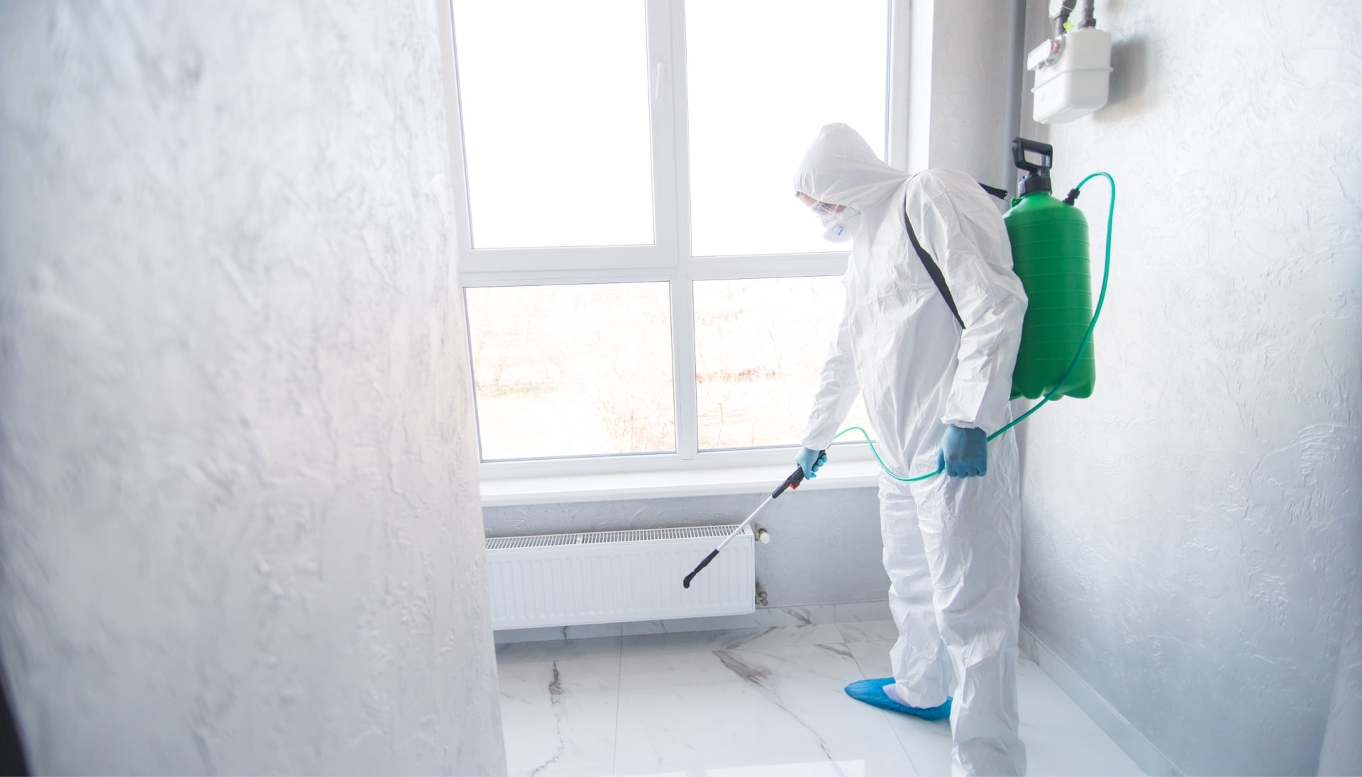 We provide the highest-quality mold inspection, testing, and removal services in the Orange County, California area.